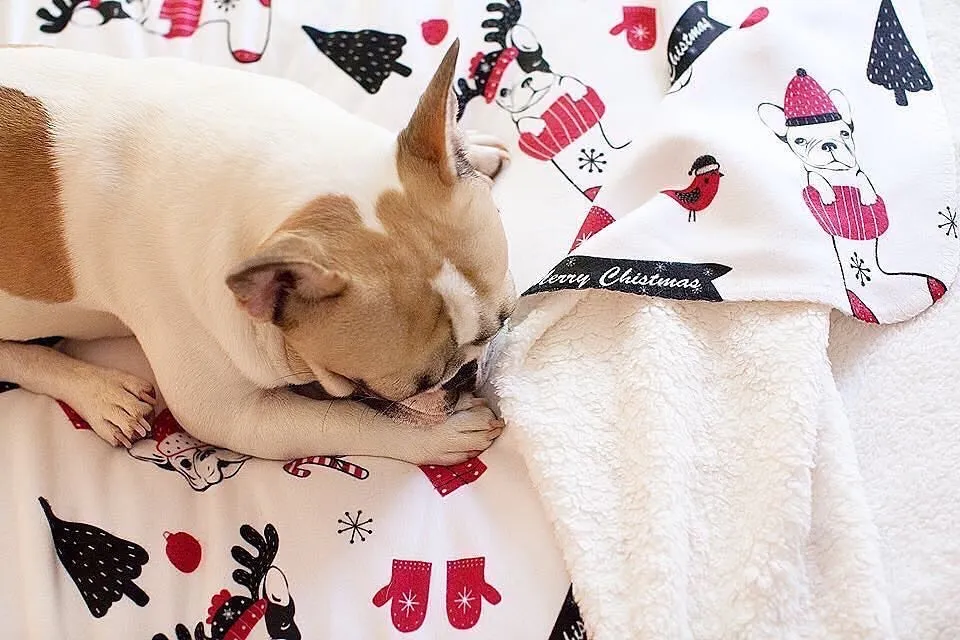 Christmas Frenchie Blanket | Frenchiestore