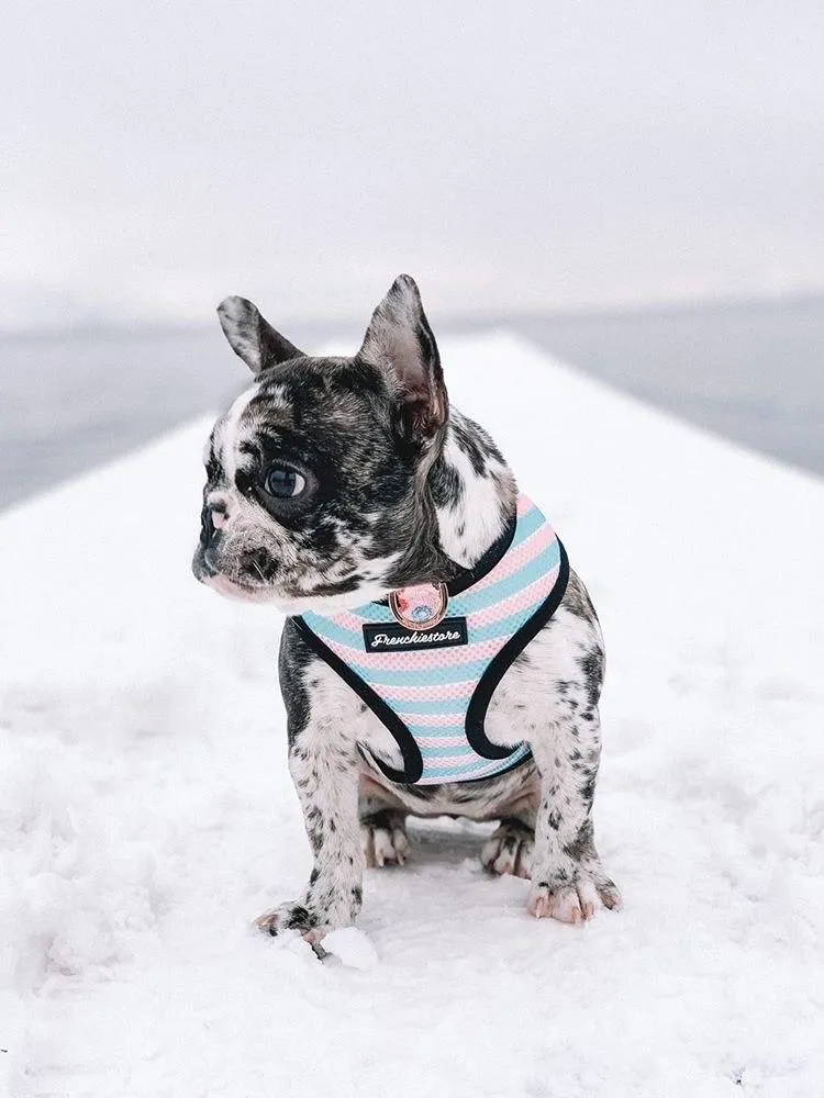 Frenchiestore Reversible Dog Health Harness | Pink StarPup