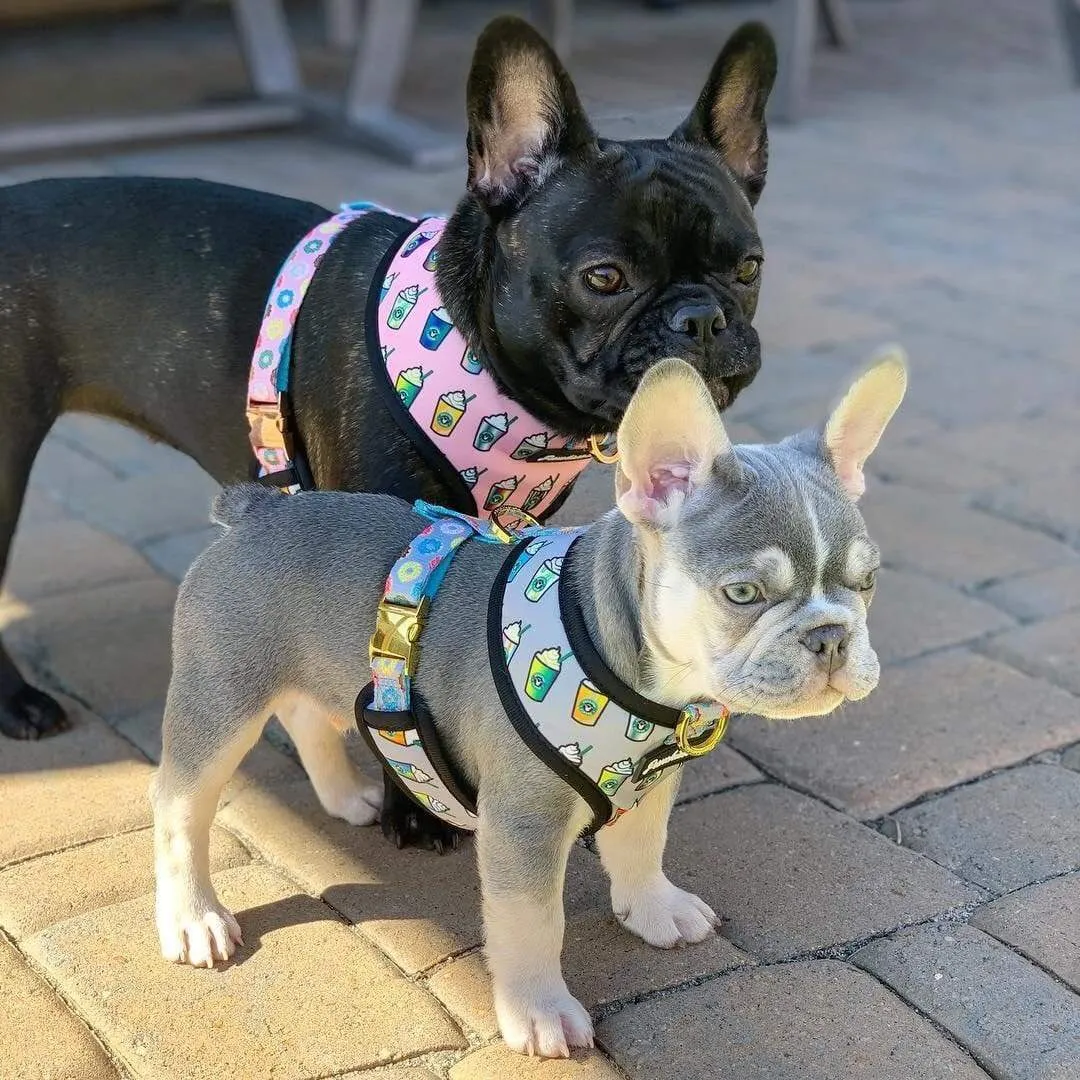 Frenchiestore Reversible Dog Health Harness | Pink StarPup