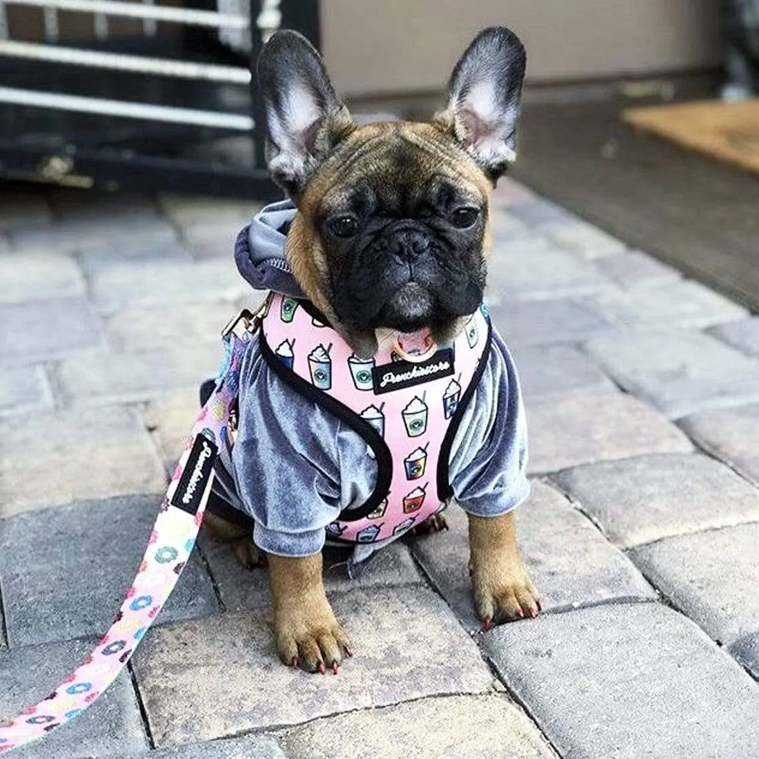 Frenchiestore Reversible Dog Health Harness | Pink StarPup