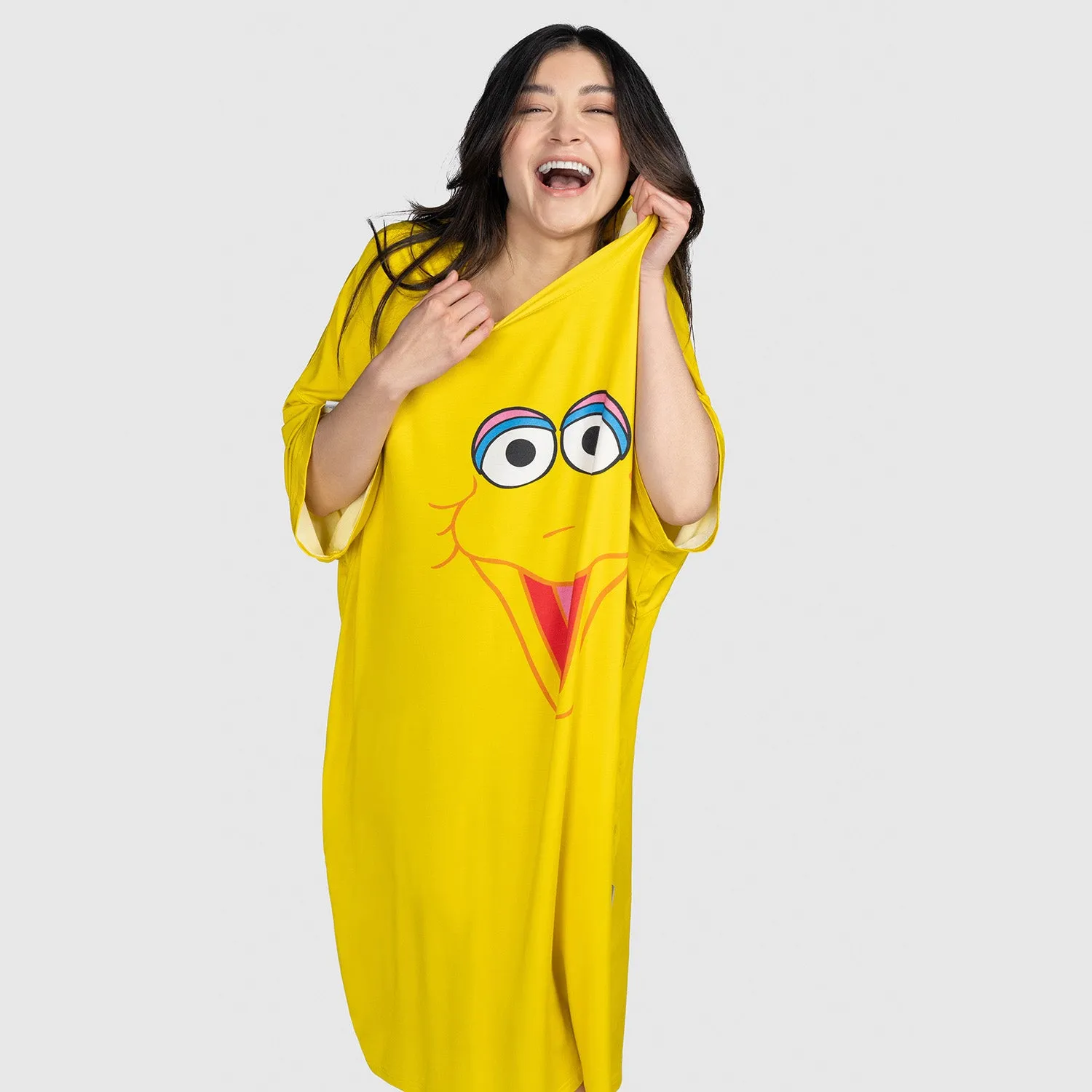 Sesame Street Big Bird